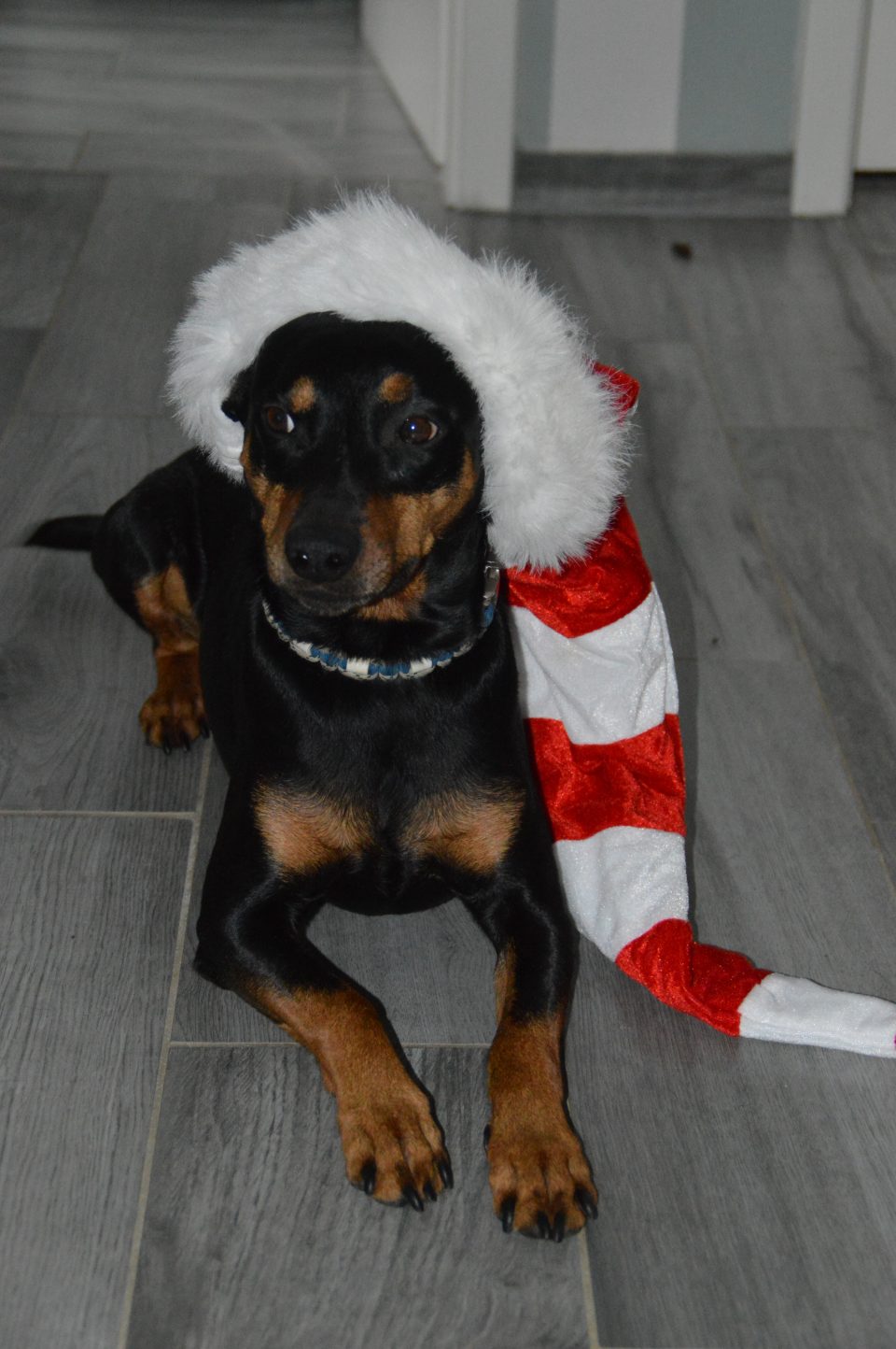 Fröhliche Weihnachten