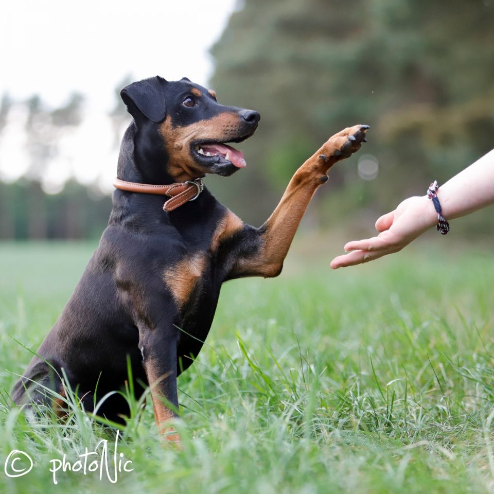 Fotoshooting mit Nicola Trappmann