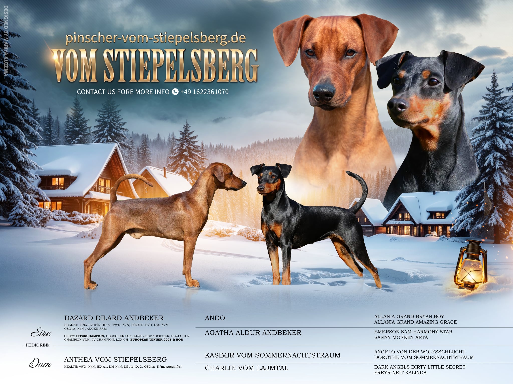 Wurfankündigung zum Jahreswechsel